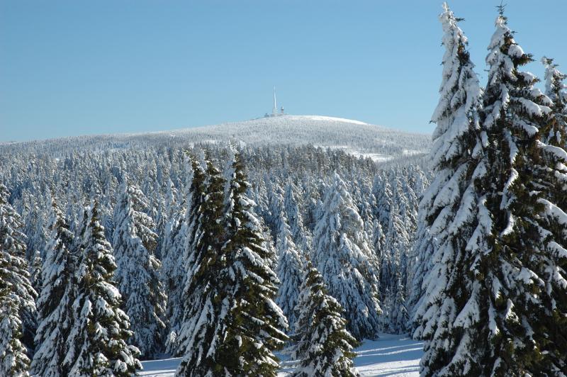 Harz in winter