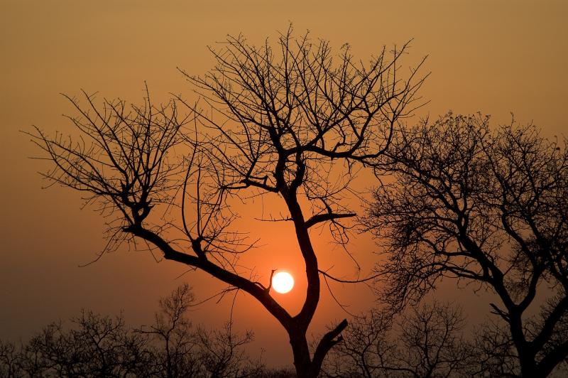 African sunset